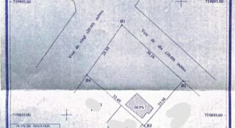 Grande Parcelle Clôturée en Angle de Rue à Vendre à Porto-Novo – Quartier Dowa